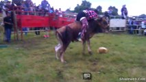 SUPER JARIPEO RANCHERO EXTREMO EN AMECAMECA ESTADO DE MEXICO LOS TOROS MAS SALVAJES DE LA GANADERIA DE LOS REBELDES MAYO 2015