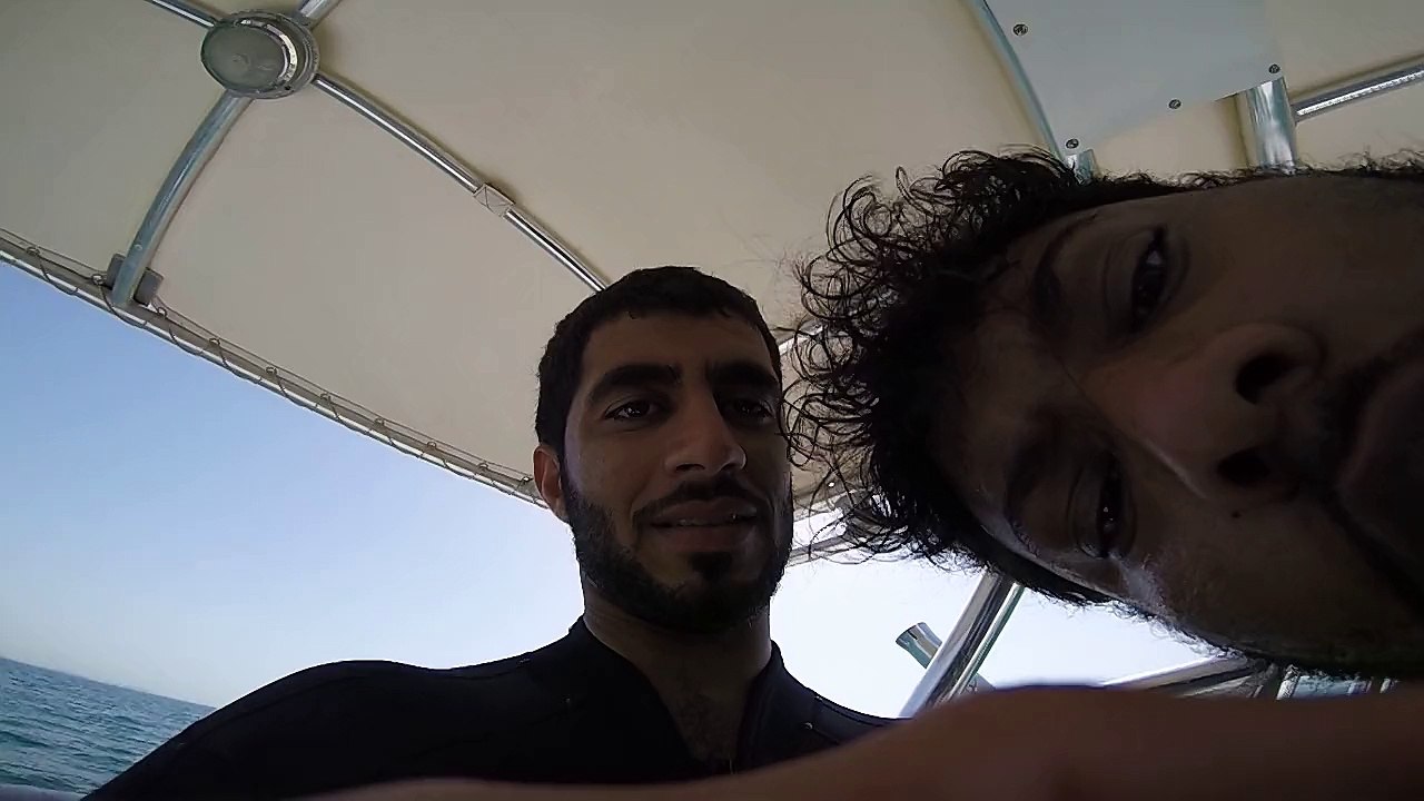 Diving UAE