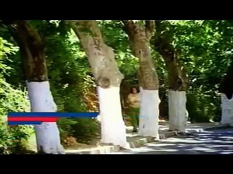 Selda Bagcan - Yalan dunya