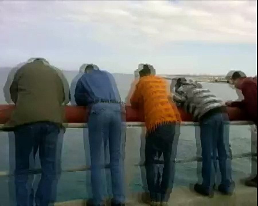 Sharks in Ashqelon - Dec 2011 - כרישים באשקלון