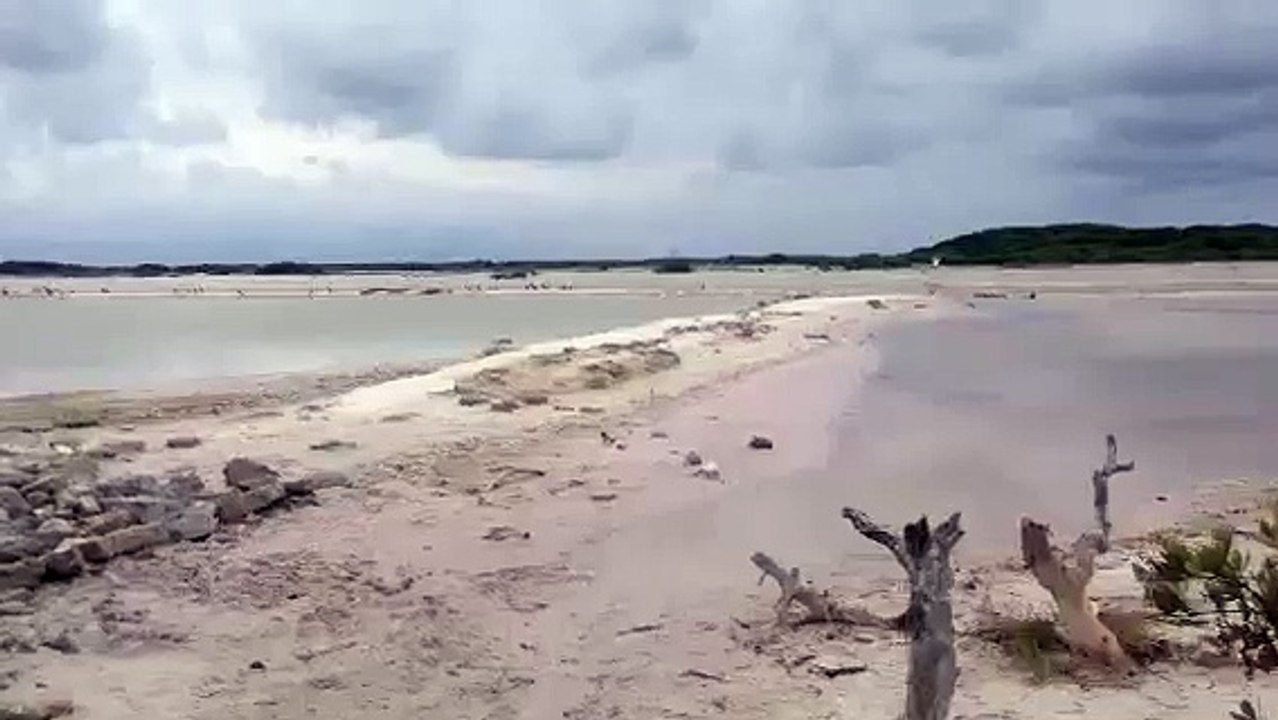 Tyúkól a Yucatan-on