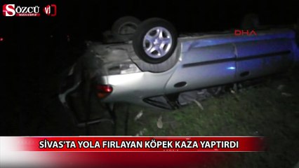 下载视频: Sivas'ta yola fırlayan köpek kaza yaptırdı