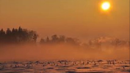 Dies Natalis - From Dusk To Dawn