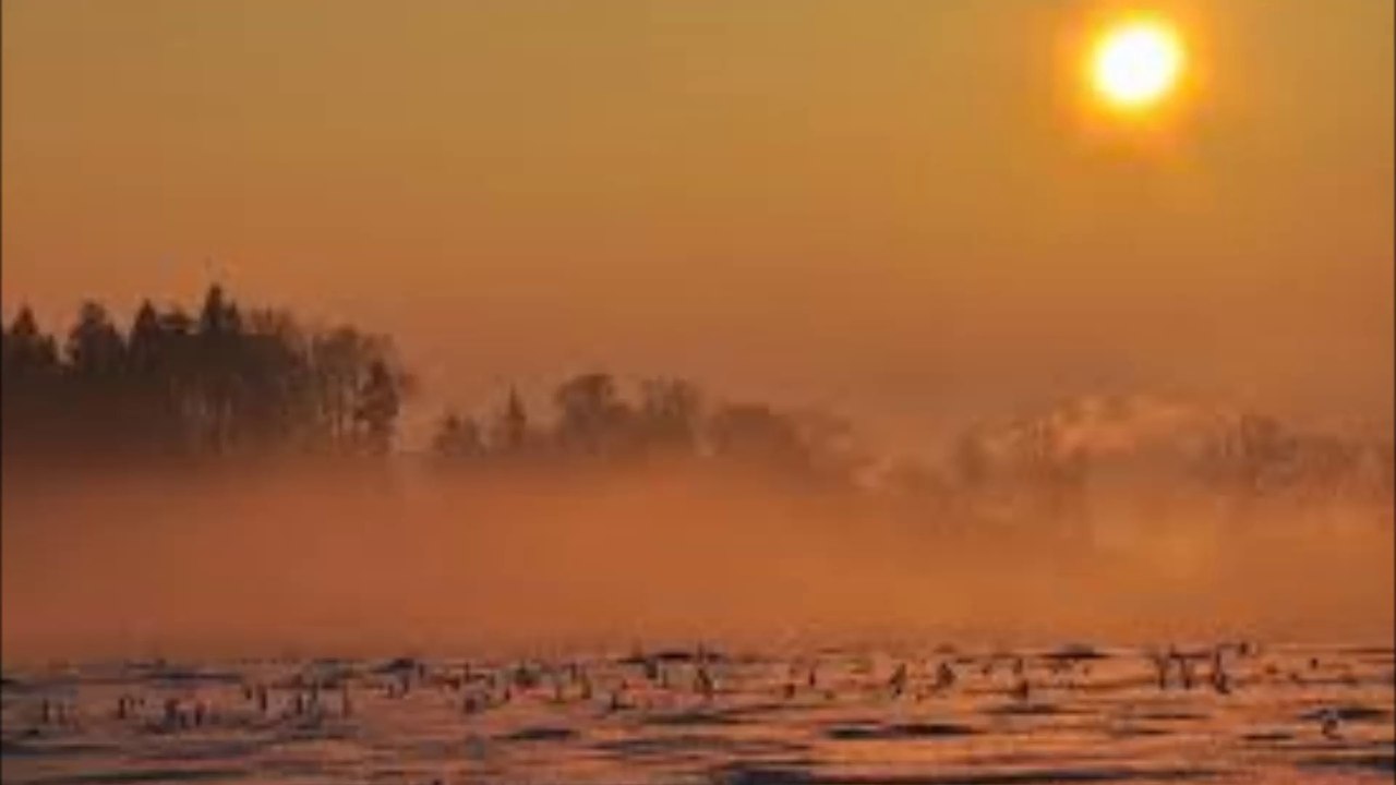 Dies Natalis - From Dusk To Dawn