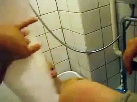 Babies Sing _#039;We Will Rock You_#039