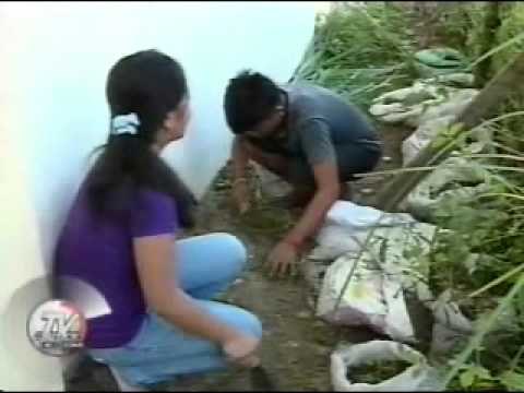 TV Patrol Tacloban - May 18, 2015