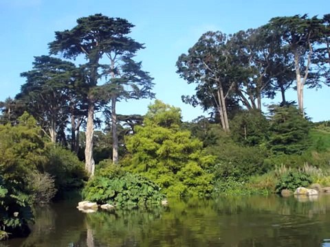 Guided Yoga Nidra Meditation for Relaxation and Stress Relief