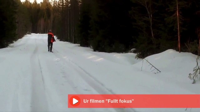Un homme fait fuir un ours en lui criant dessus : dingue!