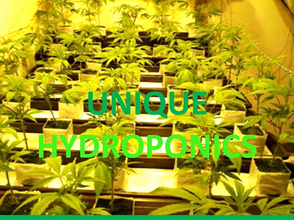 Hydro Grow Cabinet