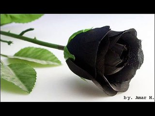 Crna ruza za kraj -.wmv