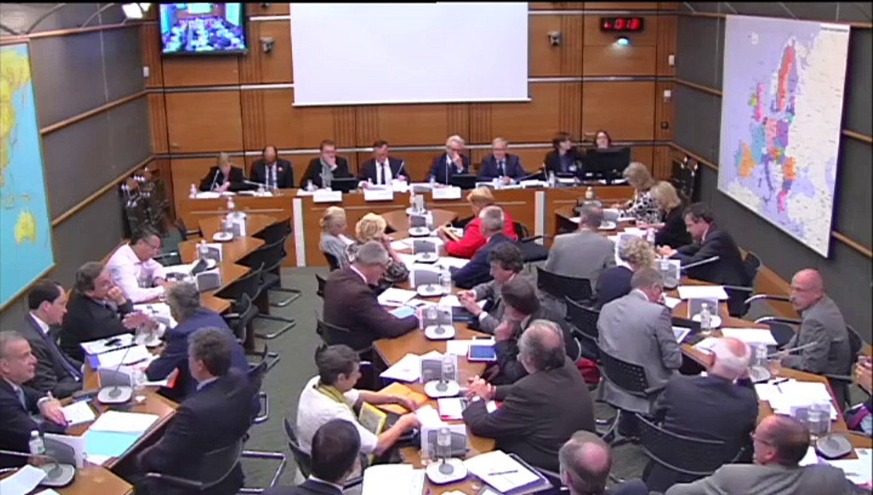 13.05.2015: CDD : Audition de M. Stéphane Saint-André et de M. Marc Papinutti