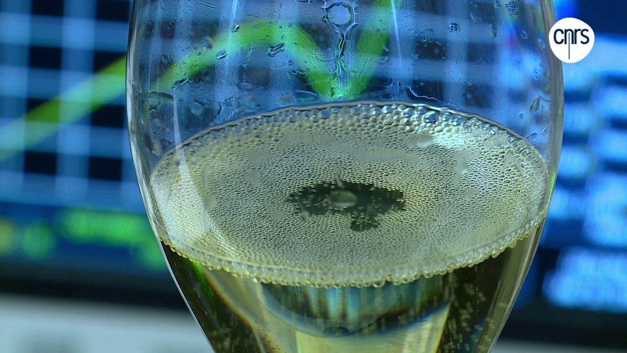 Champagne, un océan de bulles