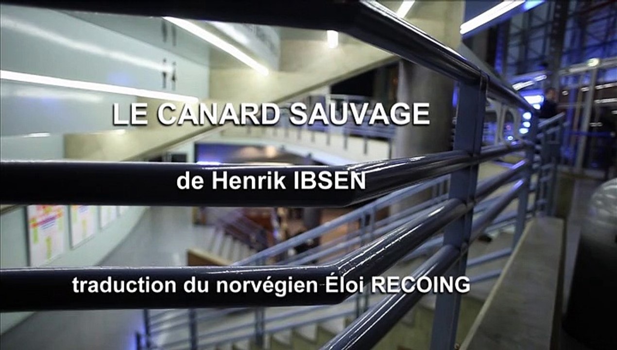 Teaser "Le Canard sauvage"