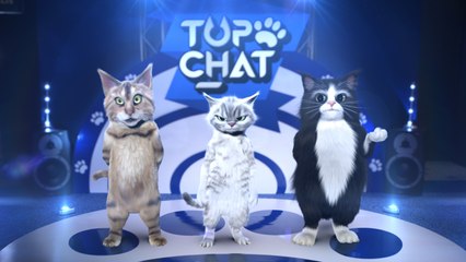 Top Chat - Episodes 1&2