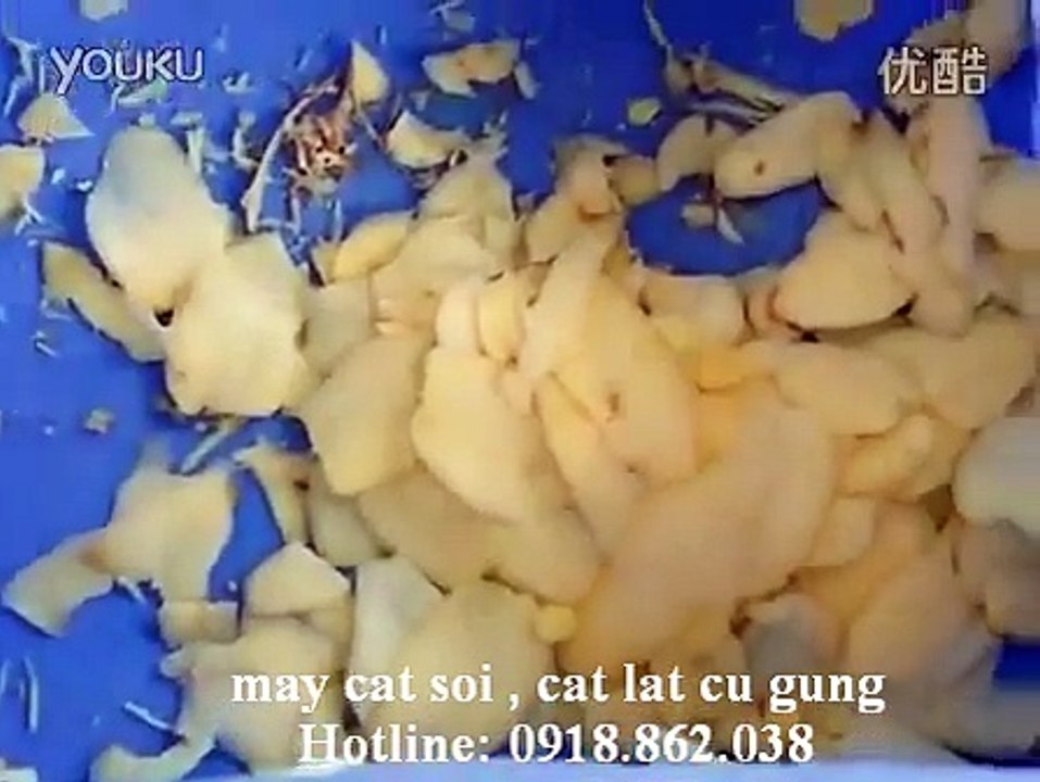 máy thái gừng làm mứt FC501, máy cắt lát gừng tươi FC501