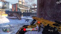 BLACK OPS 2 CAMOS & SIGHTS - Gold Camo, Weird Red Dot Reticles