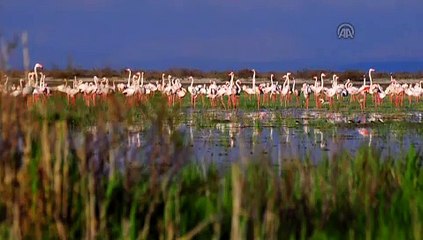Akgöl'de yağışlar su seviyesini artırdı