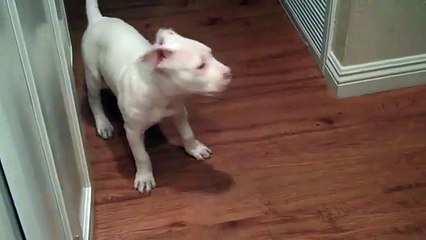 ANKARA ÇANKAYA KOMBİ SERVİSİ  = = 279 15 16 ===  BEKO