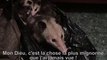 Effrayée par un opossum, elle fond quand elle réalise qu'il s'agit d'une mère et ses bébés