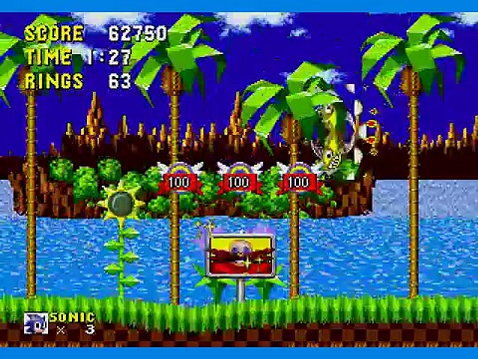 Sonic the hedgehog