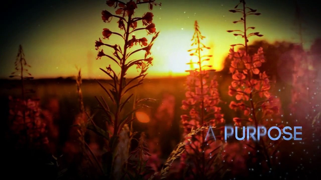 Triumph of the Spirit by David Pilarski Book Trailer