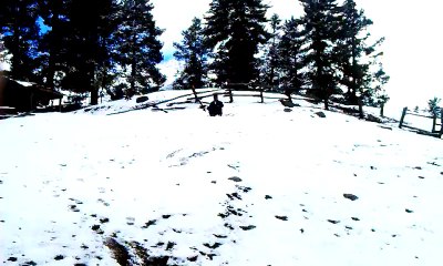 SLIDE AT SNOW- FAIRY MEADOWS 2014