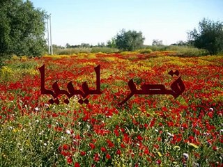 ☆ قصيدة جيت وجابك الله - للشاعر عبدالكريم المالكي ☆