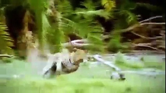 Documentary Film 2015 | Wild Japan Nature, Nat Geo Wild 2015 , National Geographic HD