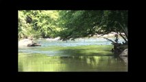 North Georgia Rivers and Streams