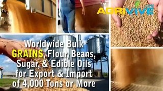 American Wholesale Grains Trading, Grains Trading, Grains Trading, Grains Trading, Grains Trading, Grains Trading, Grain