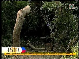 Tải video: 'Mechanical failure' caused Cavite accident