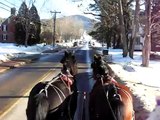 Driving carriage horses pair, downtown NH village