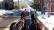 Driving carriage horses pair, downtown NH village