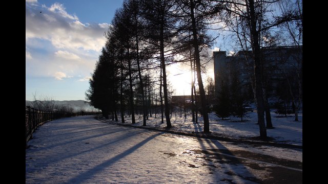 Фотография— Гоша — Л-Случайные открытия