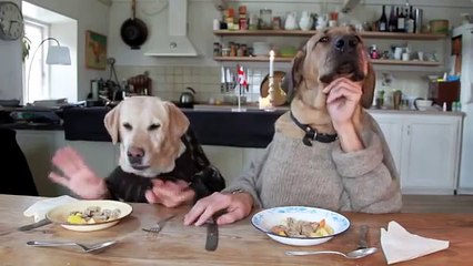 Two Dogs Dining