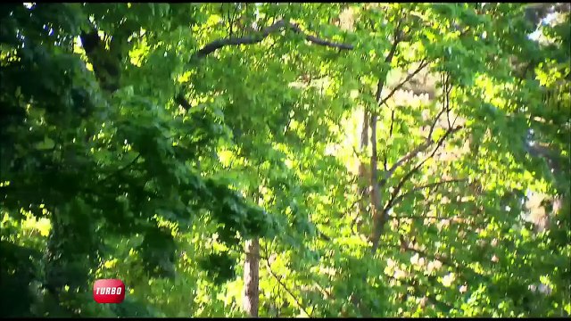 People : Mercedes Classe S Coupé vs. Porsche 911 GTS, un duel en famille (Emission Turbo du 17/05/