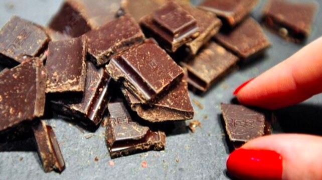 Chocolate Researchers Combine Cocoa Beans With Beer