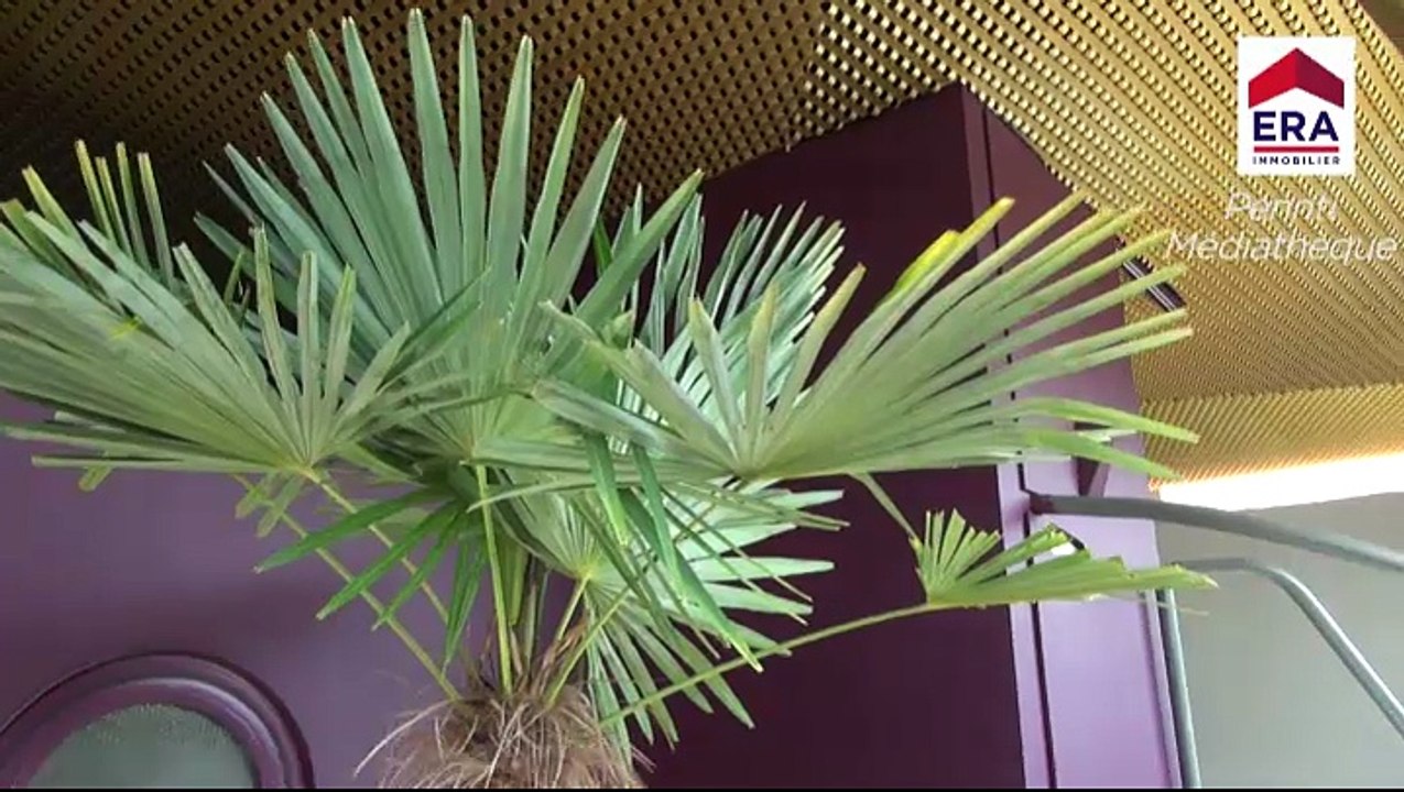 Nantes - Vente maison d'architecte 2015, rue calme, à 2mn du tram et du centre-ville