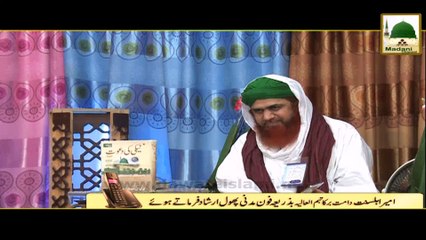 Short Clip - Malik Makan Aur Kirayedar