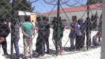 Midilli'ye Geçmek İsteyen 40 Kaçak Yakalandı