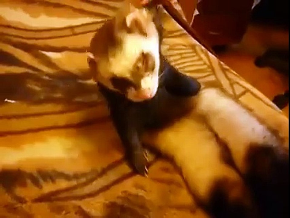 sleeping