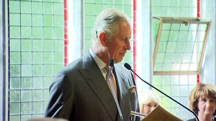 Charles tells the Irish 'You raise our spirits'