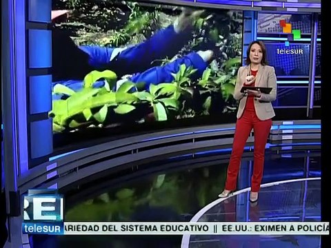 PMA recorta ayuda humanitaria a refugiados sirios