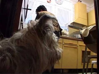 TV3 - Karakia - Aletria (Maria do Carmo, Portugal)