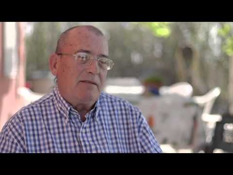 TV3 - Diumenge, a les 21.55 - El cos del delicte a 30 minuts