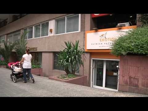 TV3 - Veterinaris - Veterinaris - capítol 115