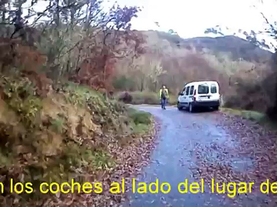 Caza - Peligrosa batida al jabalí 28 12 2013