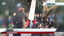 Raw Video: Cops Pepper Spray Passive Protesters