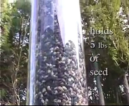Squirrel Spins Off of Bird Feeder