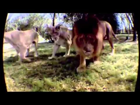 TV3 - Generació Digital - Viure la realitat virtual amb les Gear VR